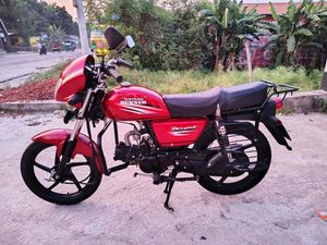 Dayang Runner Other Model 80cc Fixed Price 2022 for Sale