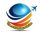 Digital Marketing Executive