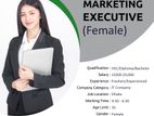 Digital Marketing Executive (Female)