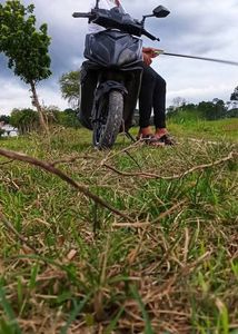 E-Bike 2020 for Sale