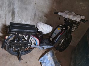 Electric bike E 2024 for Sale