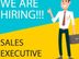 Field Marketing Executive Needed Urgent