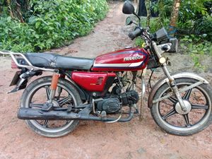 Freedom . 2016 for Sale