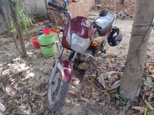 Freedom 2005 for Sale