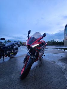 GPX Demon GR165R 2022 for Sale