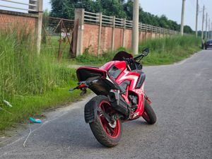 GPX Demon GR165R . 2022 for Sale