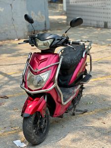 Green Tiger 2022 for Sale