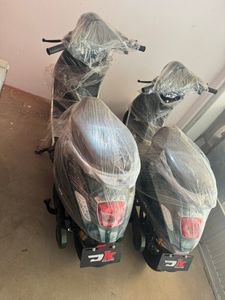 Green Tiger 2026 for Sale