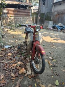 Honda Scooty 1974 for Sale
