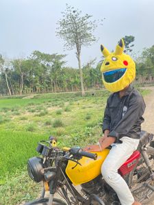 খুব সুন্দর হেলমেট কাভার Bunny for Sale