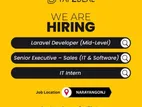 Laravel Developer ( Mid Level )