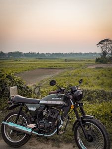 Lifan Cafa Racer 2023 for Sale