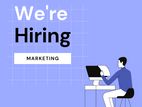 Marketing Executive