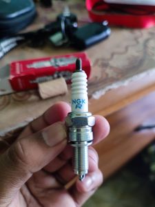 Ngk Spark Plug Original for Sale