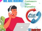 Telesales Executive