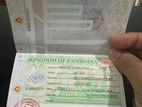 Overseas Office Agent Need