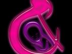 ওয়্যারহাউস সহকারী (warehouse Assistant)