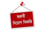 Packing Man ২জন পুরুষ আবশ্যক
