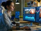 Professional Video Editor Needed