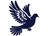 Rashid's Pigeon খুলনা