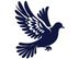Rashid's Pigeon খুলনা