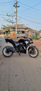 Roadmaster Rapido Roadmastar 2018 for Sale