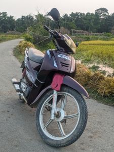 Runner Kite 2015 for Sale