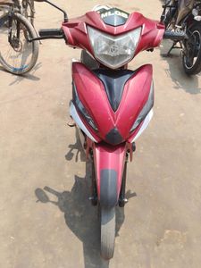 Runner Kite 2020 for Sale