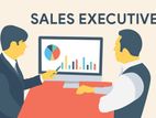 Sales Executive