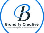 Senior Graphics Designer (In House)