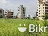 South Facing 3 Katha Ready Plot For Sale in L Block Bashundhara R/A