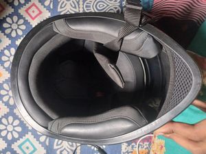 STUDDS THUNDER for Sale