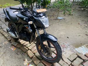 Suzuki Gixxer Monotone 2019 for Sale