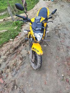 Suzuki Gixxer Monotone 2025 for Sale