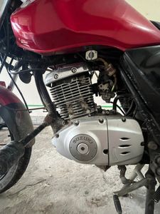 Suzuki EN125-2A 2019 for Sale