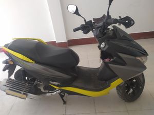 Taro . 2024 for Sale