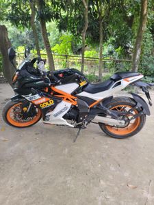 Taro GP 1 Special Edition 2019 for Sale