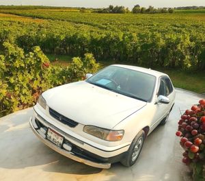 Toyota Corolla . 1995 for Sale