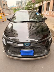 Toyota Corolla WXB 2020 for Sale