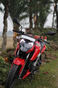TVS 4V 2024 for Sale