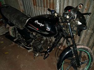 Walton Cruize . 2017 for Sale