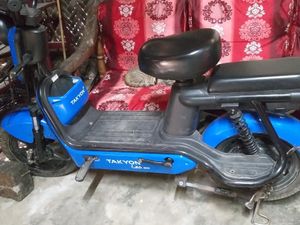 Walton Leo . 2024 for Sale