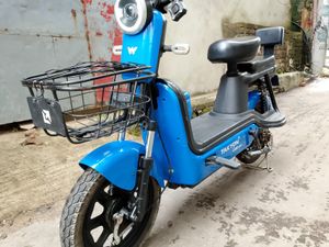 Walton Leo Takyon 2024 for Sale
