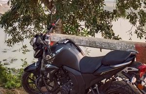 Yamaha FZs V2 2023 for Sale