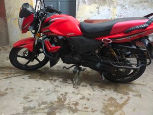 Zaara 2019 for Sale