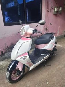 ZNEN Classic 50 2014 for Sale