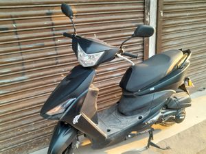 ZNEN Jog 2021 for Sale