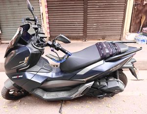 ZNEN Taro Vampire 2024 for Sale ZNEN Taro Vampire 2024 for Sale