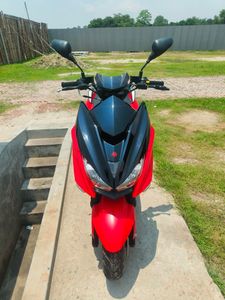 ZNEN Thundercats . 2024 for Sale