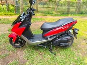 ZNEN Thundercats . 2024 for Sale